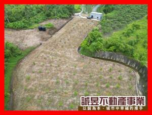誠昱/楠西龜丹4.8分山.